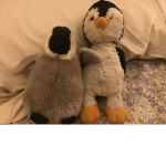 Penguino group #1