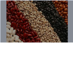 bean squad UnU