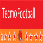 Techmo Football League