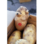 hot potato in the mouth