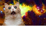 Gangue Dos Gatos
