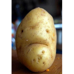 Unique Poteto's