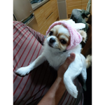예소인뎁?