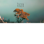 +*tigerpaw*+
