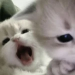 ingan_Games Group Thumbnail