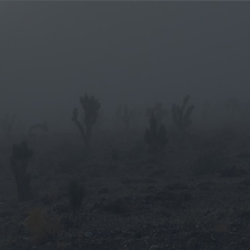 Wasteland Church