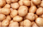 Rise Of The Tato
