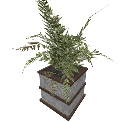 Plant Tree