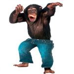 Funnymonkeys