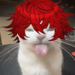 Happy Kats