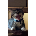 ajshkajshdajsdhkajshdkajsdhkajshdkajshdkasjhdkajsd