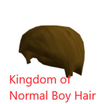 Kingdom of Normal Boy Hair