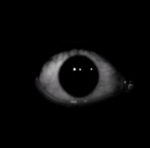 The one eye group