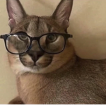Smart floppa