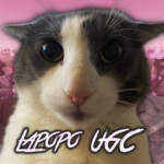 Lapopo UGC