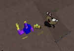 DOG BIGGEST sim!?