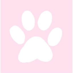 bewitched catalog store