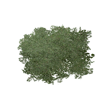 Realistic Bush 