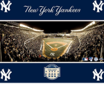 New York Yankees Fans!