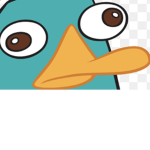 Tiny platypus fan group!