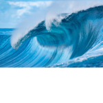 The Oceanside group