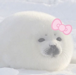 Bobamoon