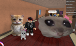 Roblox2115.