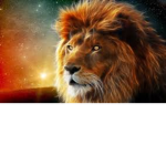 💎Leonsitos Army💎