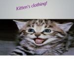 Kitten clothing's