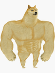 Ur mom’s roblox group