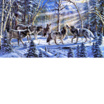 Yellowstone RP