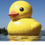 Vibing Duck squad