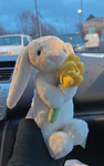 Laylas Bunnies,