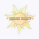 xsunshine.academyx