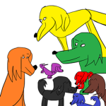 The Irish setters