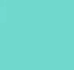 Colorful mint