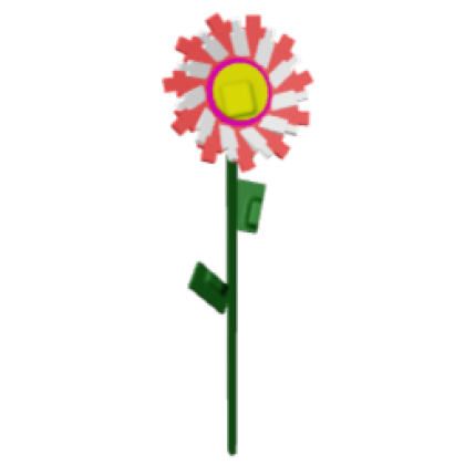 Candy Sunflower