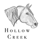 Adventures in Hollow Creek