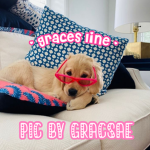 - graces line -
