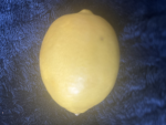 Lemon Recovery Service (of Amog)