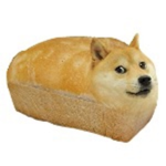 Doge bread group