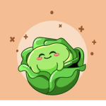The Lettuce Patch