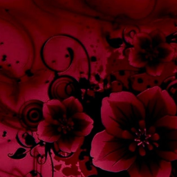 🌹