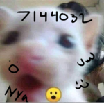 4szi