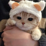 Wosh4life