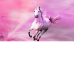 THE PINK UNICORNS PROTECT