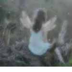 fairyhub