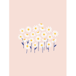 The.lilys