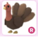 Name Your Roblox