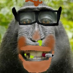 ()monke: